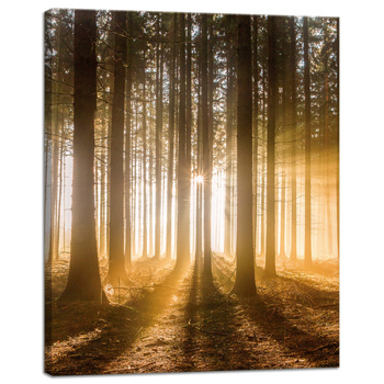 Leinwandgemälde Sonne im Wald Baumlicht 40x50 cm