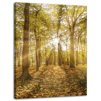 Leinwandgemälde Sonne zwischen Bäumen im Wald 30x40 cm