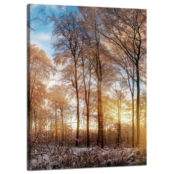Leinwandgemälde Bäume Winter aufgehende Sonne 50x70 cm