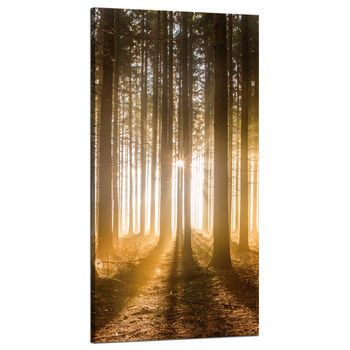 Leinwandgemälde Sonne im Wald Baumlicht 60x120 cm