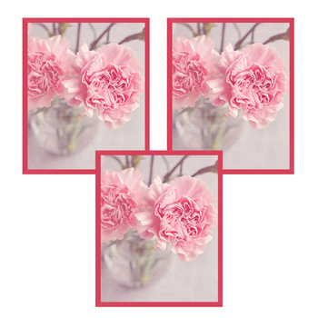 3x Amaranth-Rahmen 24x30, I L13,15,056, Amaranth-Plexiglas