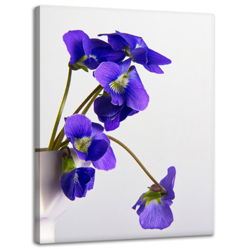 Leinwandgemälde Botanik Blaue Stiefmütterchen 30x40 cm