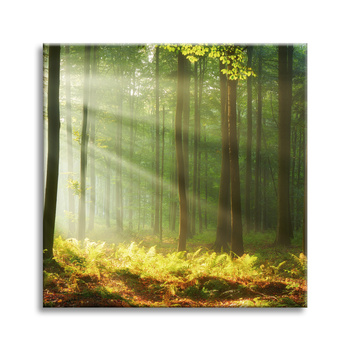 Leinwandgemälde Licht im Wald Natur Bäume 90X90 cm