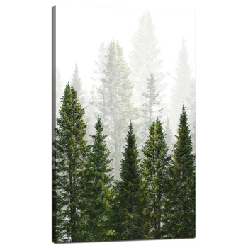 Leinwandgemälde Regenwald Natur Bäume 60x100 cm