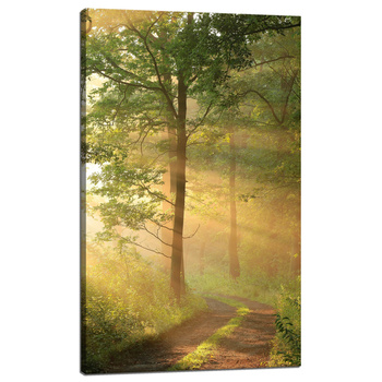 Leinwandgemälde Sonnenlicht Waldweg Natur 60x100 cm
