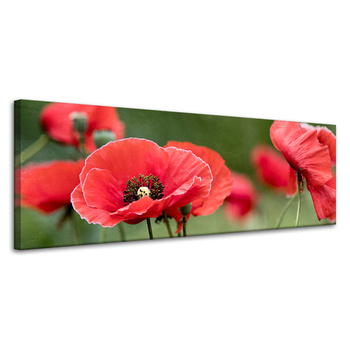 Leinwandgemälde Botanik Rote Mohnblumen 120x40 cm