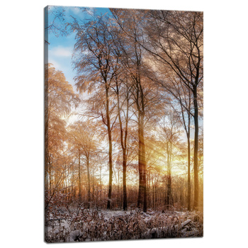 Leinwandgemälde Bäume Winter aufgehende Sonne 40x60 cm