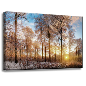 Leinwandgemälde Bäume Winter aufgehende Sonne 60x40 cm