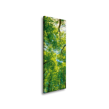 Leinwandgemälde Bäume Blätter Natur Wald Frühling 40x120 cm