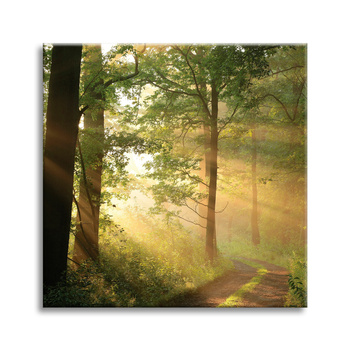Leinwandgemälde Sonnenlicht Waldweg Natur 90X90 cm