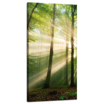 Leinwandgemälde Sonne im Wald Bäume Natur 40x80 cm