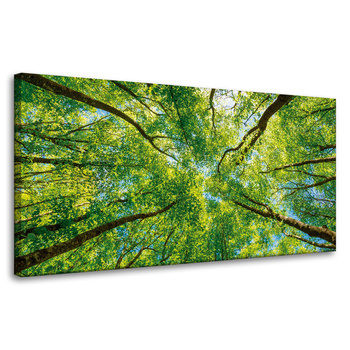 Leinwandgemälde Bäume Blätter Natur Wald Frühling 80x40 cm