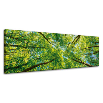 Leinwandgemälde Bäume Blätter Natur Wald Frühling 120x40 cm