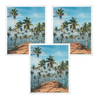 3x weißer Rahmen 40x50, I L13,15,063, weißer Lack + Plexiglasprägung