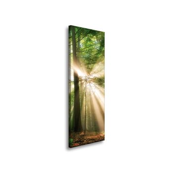 Leinwandgemälde Sonne im Wald Bäume Natur 40x120 cm