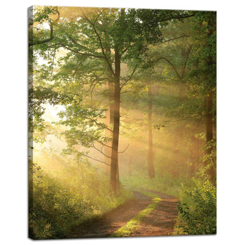 Leinwandgemälde Sonnenlicht Waldweg Natur 40x50 cm