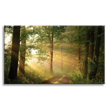 Leinwandgemälde Sonnenlicht Waldweg Natur 70x50 cm