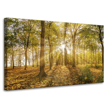Leinwandgemälde Sonne zwischen Bäumen im Wald 100x60 cm