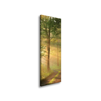 Leinwandgemälde Sonnenlicht Waldweg Natur 40x120 cm