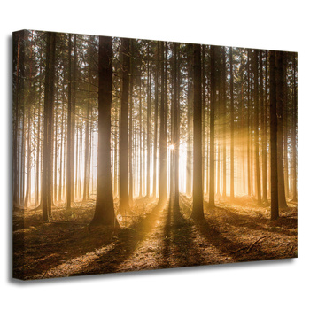 Leinwandgemälde Sonne im Wald Baumlicht 40x30 cm