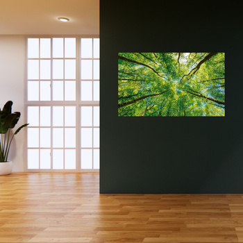Leinwandgemälde Bäume Blätter Natur Wald Frühling 120x70 cm