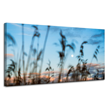 Leinwandgemälde Nature Glade Meadow Sunrise 120x60