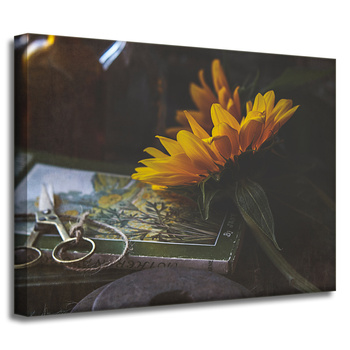 Leinwandgemälde Botanik Sonnenblumenbuch 40x30 cm
