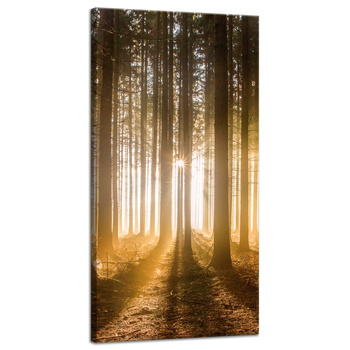 Leinwandgemälde Sonne im Wald Baumlicht 40x80 cm