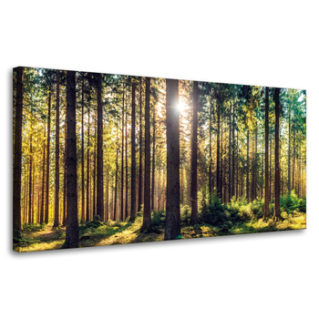 Leinwanddruck Wald Sonne Bäume Frühlingsmorgen 80x40 cm