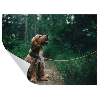 Dein Foto als WIZARD Poster 70x50 cm