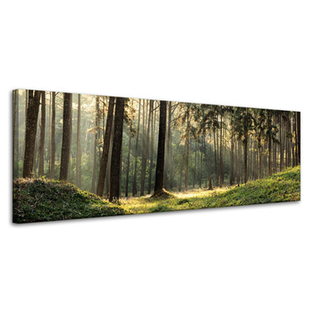 Leinwanddruck Wald Bäume Sonne Natur 120x40 cm