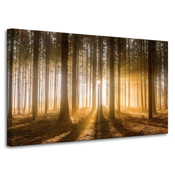 Leinwandgemälde Sonne im Wald Baumlicht 100x60 cm