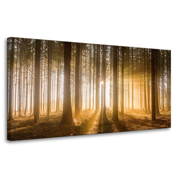 Leinwandgemälde Sonne im Wald Baumlicht 80x40 cm