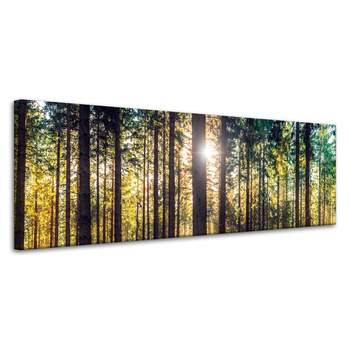Leinwanddruck Wald Sonne Bäume Frühlingsmorgen 120x40 cm