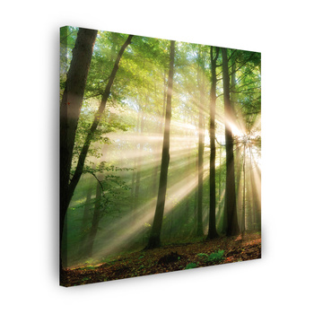 Leinwandgemälde Sonne im Wald Bäume Natur 80X80 cm