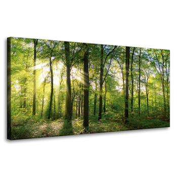 Leinwanddruck Sonne, Wald, Bäume, Lichtstrahlen, 80x40 cm