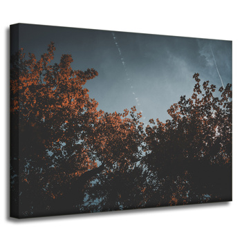 Leinwandgemälde Natur Orangenbaumkronen 40x30 cm
