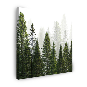 Leinwandgemälde Regenwald Natur Bäume 60X60 cm