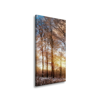 Leinwandgemälde Bäume Winter aufgehende Sonne 40x80 cm