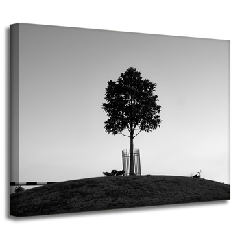 Leinwandgemälde Naturbaum 40x30 cm