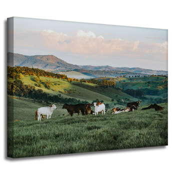Bild auf Leinwand Nature Pasture_2 40x30 cm