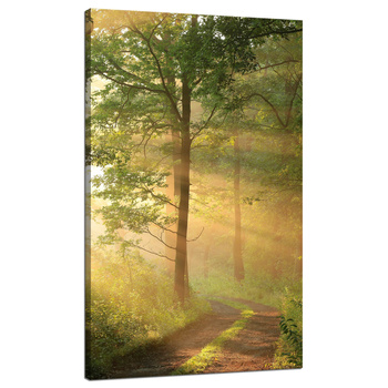 Leinwandgemälde Sonnenlicht Waldweg Natur 70x120 cm