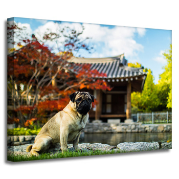 Leinwandgemälde Tiere Hund_2 40x30 cm