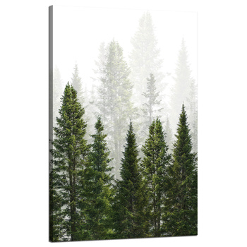 Leinwandgemälde Regenwald Natur Bäume 50x80 cm