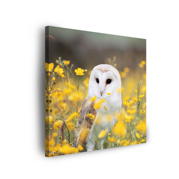 Leinwandgemälde Weiße Eule Blumen Natur Wiese 90x90