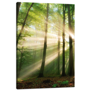 Leinwandgemälde Sonne im Wald Bäume Natur 40x60 cm