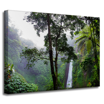 Leinwandgemälde Natur Tropischer Wald 40x30 cm