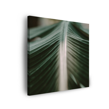 Leinwandgemälde Natur Palmblatt 90x90