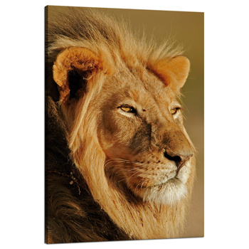 Leinwandgemälde Löwe im Sonnenschein Gesicht Natur 80x120 cm