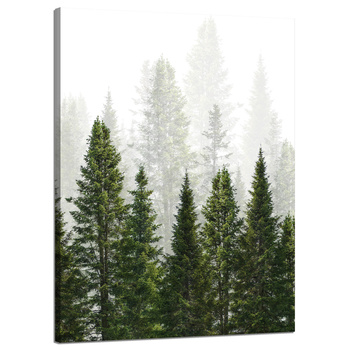Leinwandgemälde Regenwald Natur Bäume 50x70 cm